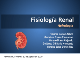2-Fisiología renal