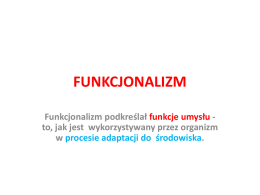 Funkcjonalizm