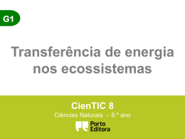 G1 – Transferência de energia nos ecossistemas