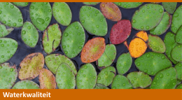 pptx - VOS Instrumenten bv