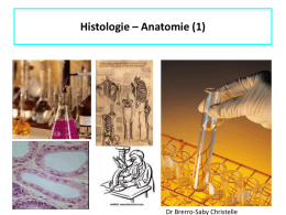 Histologie - Anatomie - PACA formation Thanatology