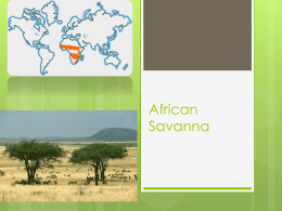 Savanna_Biome_Presentation - 19-040