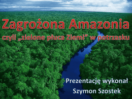 Zagrożona Amazonia