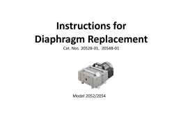 Interior Diaphragms Replacement-Welch 2052 Pump
