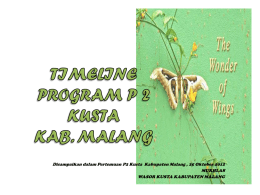 Timeline Program P2 Kusta Kab Malang 2012