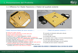 1. Presentazione del Prodotto