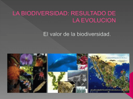LA BIODIVERSIDAD: RESULTADO DE LA EVOLUCION - est116-1d