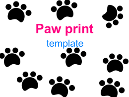 Paw Template - Presentation Magazine