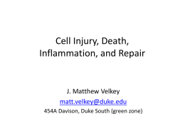 Pathology01-CellDeath-Inflammation-Repair