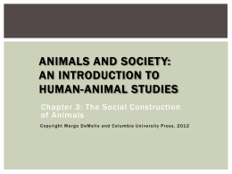 The Sociozoologic Scale - Animals and Society Institute