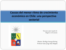 Causas del menor ritmo de crecimiento económico en Chile: una