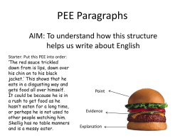 PEE Paragraphs