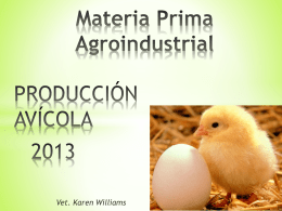 producción avícola 2013