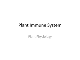 Phytoanticipin