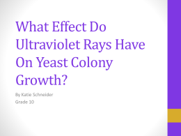 What Effect Do Ultraviolet Rays Have On Yeast Colony Growth?
