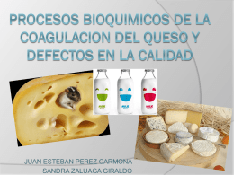 procesos bioquimicos de la coagulacion del queso y