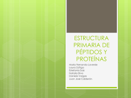 ESTRUCTURA PRIMARIA DE PEPTIDOS Y PROTEINAS(1)