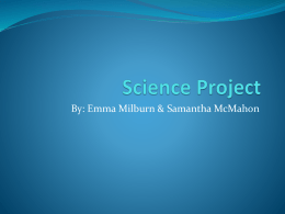Science Project - Wikispaces - rms
