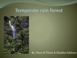 Temperate rain forest pp