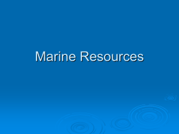 marine resources
