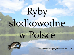 Ryby słodkowodne w Polsce – prezentacja multimedialna