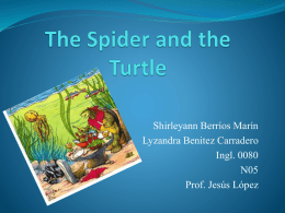 Presentation The Spider and the Turtle SBM