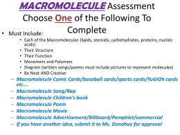 MACROMOLECULE Assessment Choose One of the