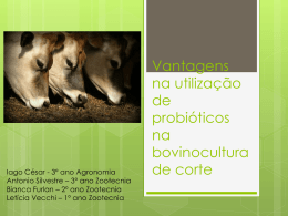 03/11/2014 - Vantagens na utilização de probióticos