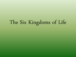 The Six Kingdoms of Life