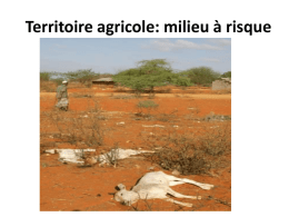 Dossier 2: Territoire agricole: milieu à risque