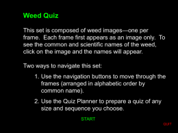 Weed ID Part 2 - Central CUSD 4