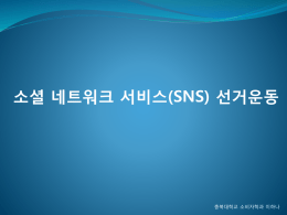 미디어비평 SNS 선거운동 2011076018 이하나