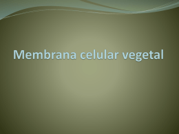 Membrana celular vegetal