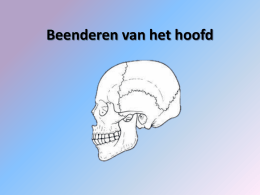 Les Beenderen van het hoofd