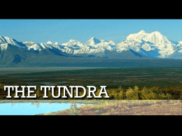 Tundra - 18-097
