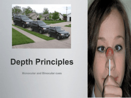 Depth Principles Monocular and Binocular cues - Rosehill