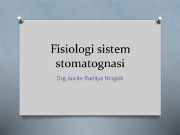 Fisiologi sistem stomatognasi Juwita