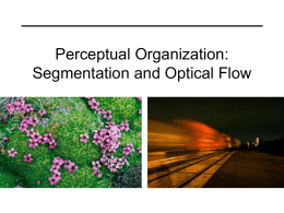 PPT