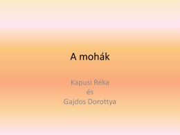Moha - Kapusi Réka, Gajdos Dorottya