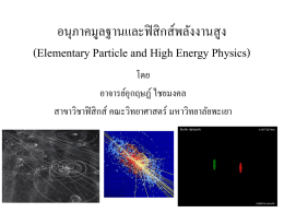 Elementary Particle and High Energy Physics
