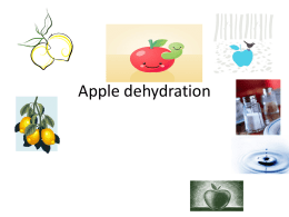 Apple dehydration