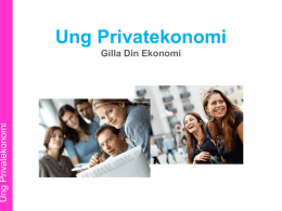 Ung-Privatekonomi