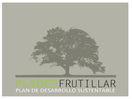Proyecto Costanera - Fundación Plades Frutillar