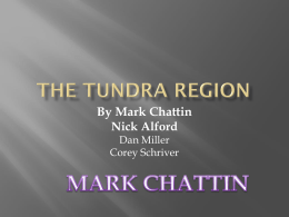 The Tundra Region