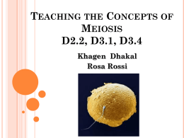 Concept presentation meiosis revised rosa khagal
