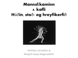 Mannslíkaminn 4. kafli Húðin, stoð