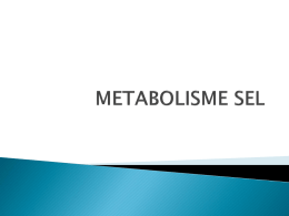 metabolisme_sel-2