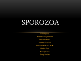 SPOROZOA - WordPress.com