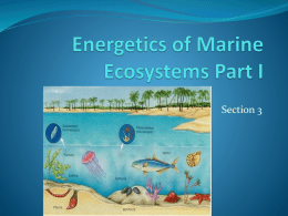 Energetics of Marine Ecosystems Part I