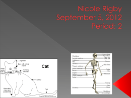 Anatomy Powerpoint